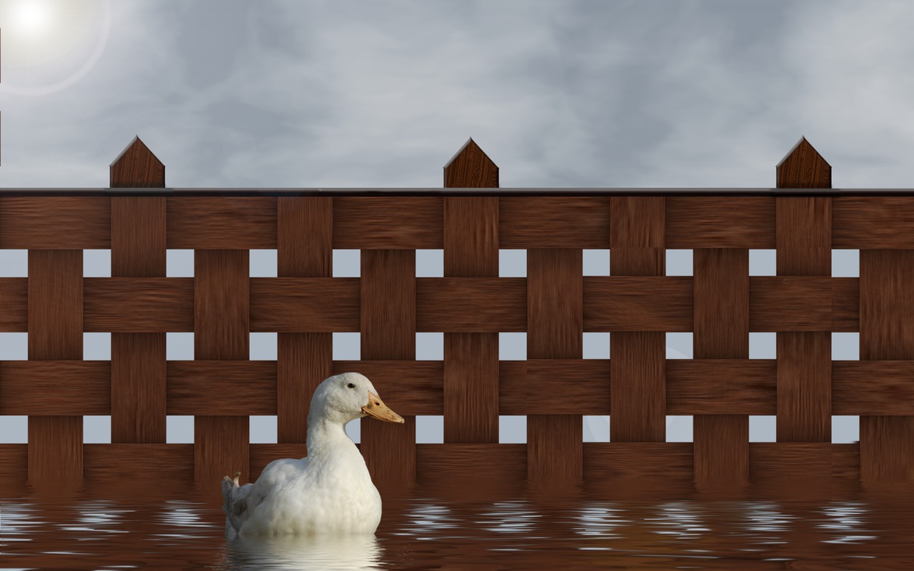 4-Test 2-Winterized-Hooded Lens-with duck3