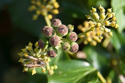  DSC5526 Landscape Crop