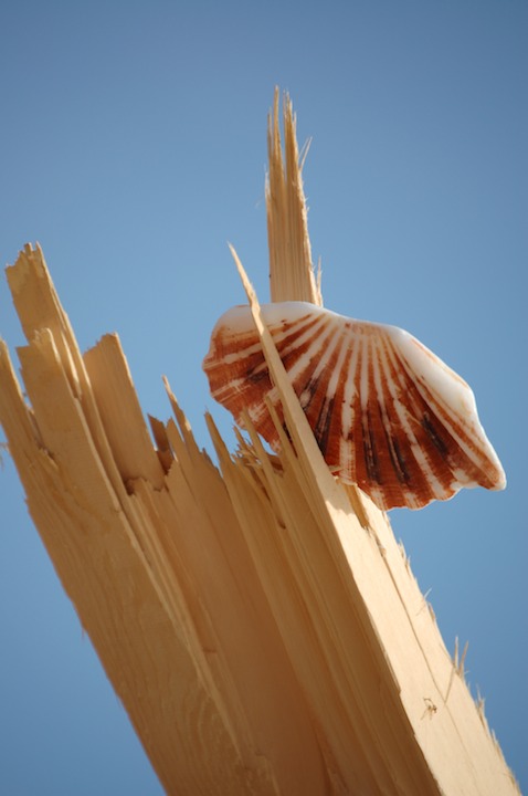 DSC 1771