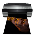 Epson 3880