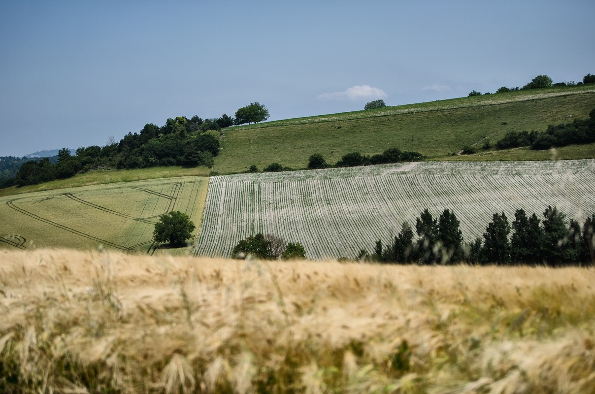 Gently Rolling French Hills
