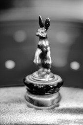 One Pill Make You Smaller