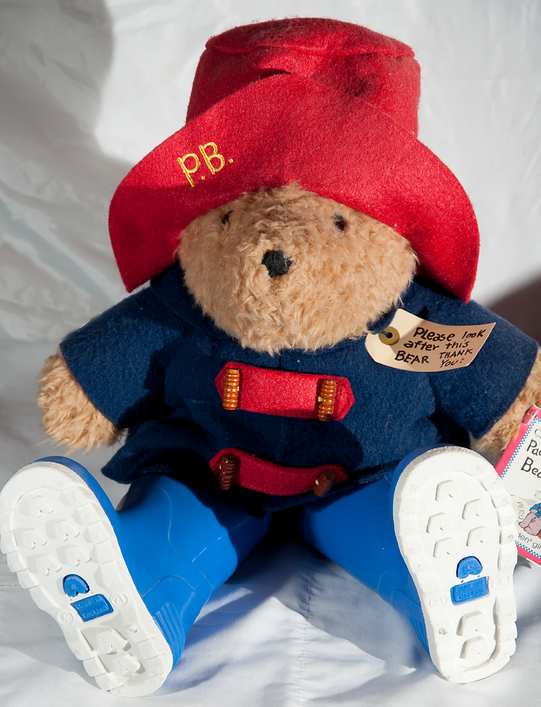 Paddington Bear