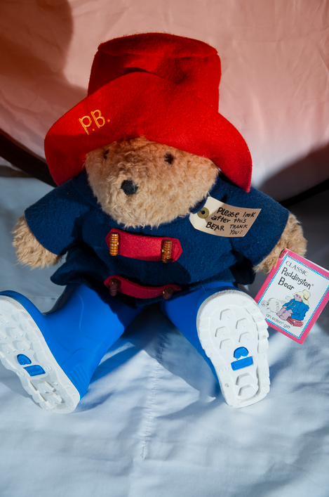 Staring Bear with Red graduated filter