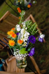 The Decorative Flowers