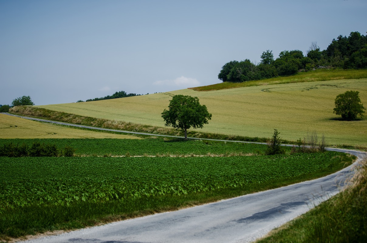 The Narrow Winding French Country Lane