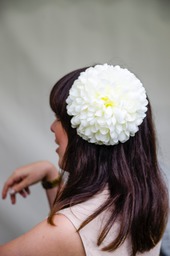 White & Yellow Chrysanthemum
